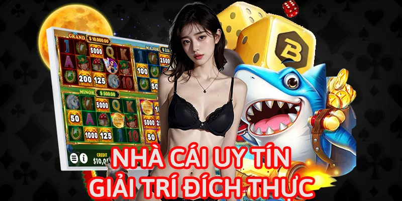 Nhà cái uy tín mang đến những giải trí đích thực gành cho hội viên