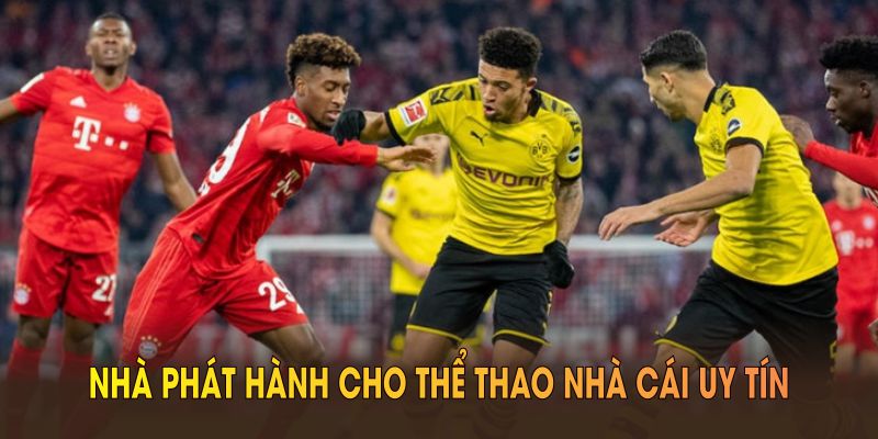 Nhà phát hành cho thể thao Nhà Cái Uy Tín tin cậy