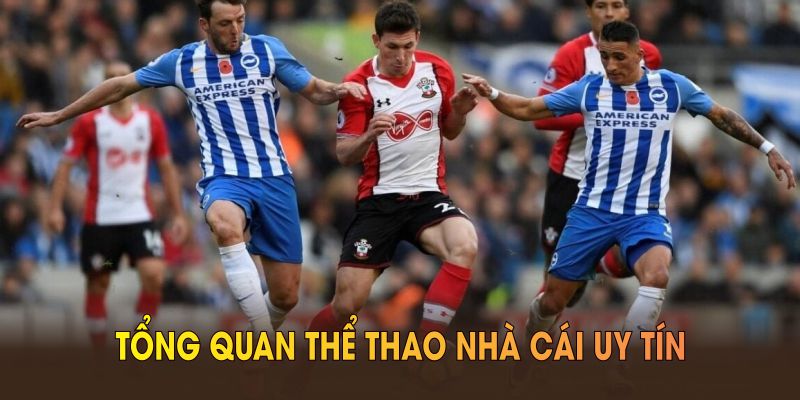 Tổng quan thể thao Nhà Cái Uy Tín cho người chơi mới
